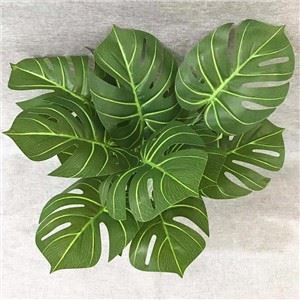 Branche de fausse feuille de tortue