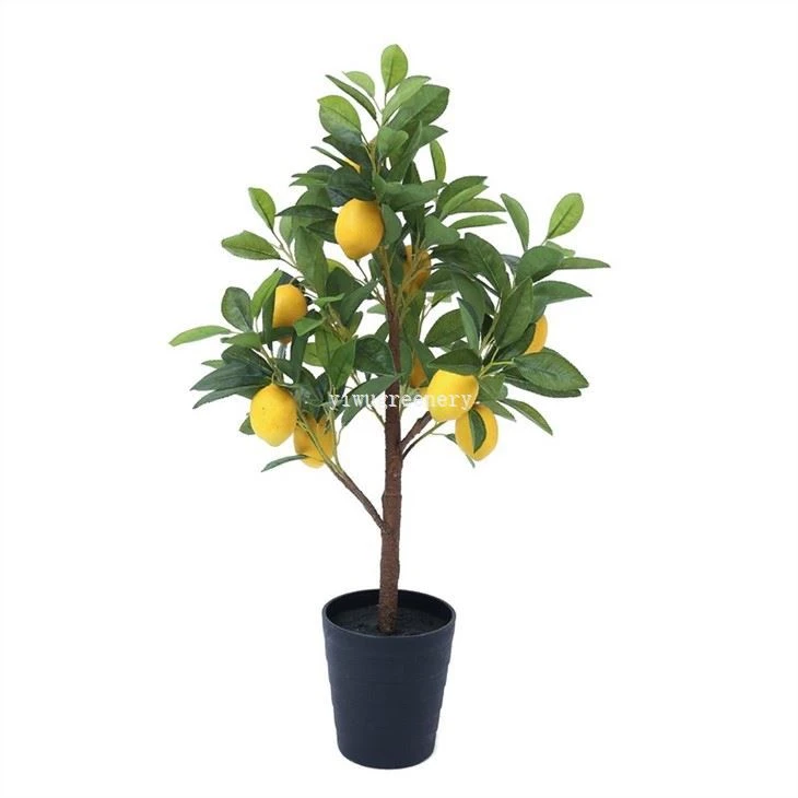 fake lemon tree plant